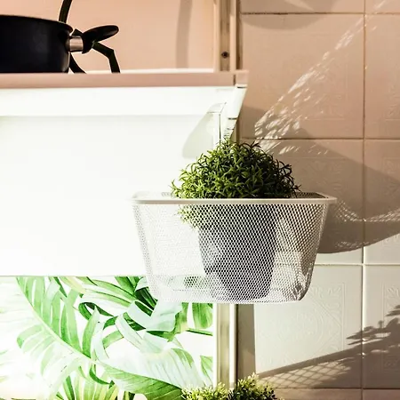 Via Zamboni Apartmán *
