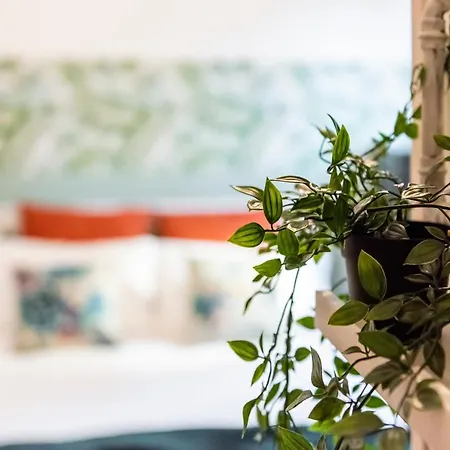 Appartement Via Zamboni Bologne